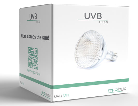 UVB MH Lampe